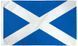 Прапор Шотландії 90x150см Flag of Scotland 523 фото 1