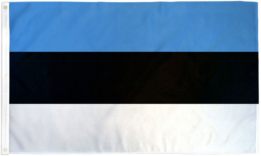 Флаг Эстонии (90x150см) Estonia Flag 434 фото